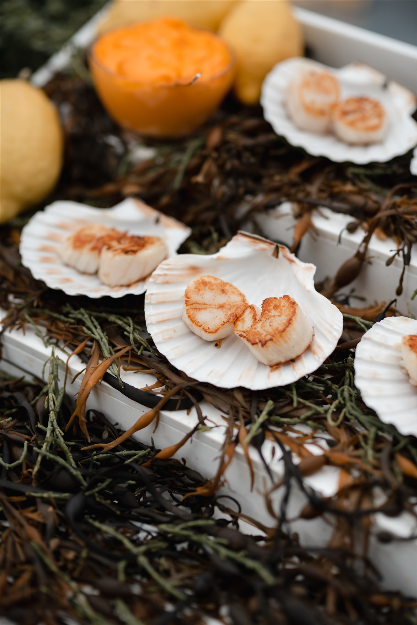 Wedding planner Ella Hartig shows a scallop food station at a Wedding