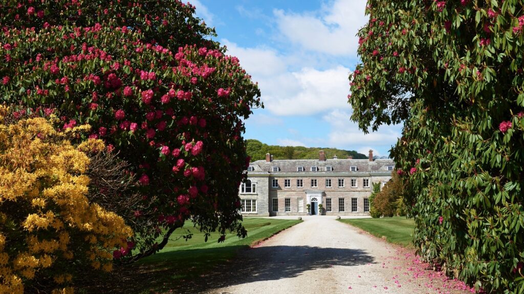 Boconnoc driveway - one of the best weekend wedding venues in the UK
